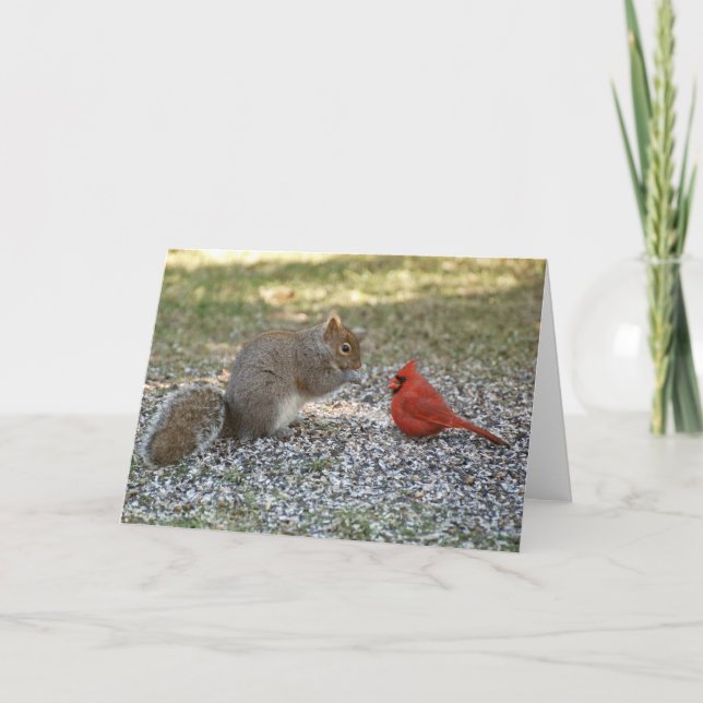 Cartão Bisbolhetice do quintal (Frente)