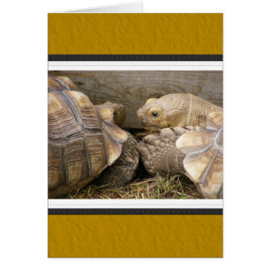 Cartão Bisbolhetices velhas