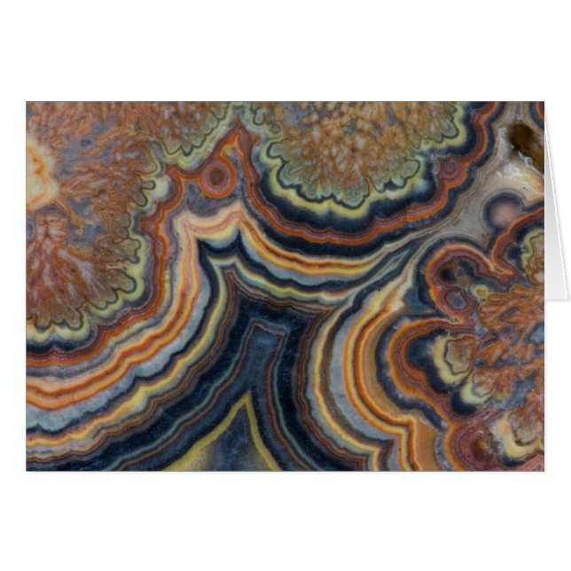 Cartão Bisnaga de flores, onyx (Frente Horizontal)