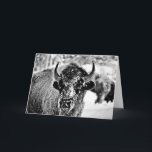 Cartão Bisonte gelado de Yellowstone<br><div class="desc">Esta foto era parque nacional recolhido de Yellowstone no tempo de -40°F em um dia ensolarado torrado.</div>