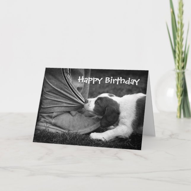 Cartão Biter do tornozelo (Frente)