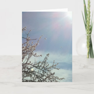 Cartão Bizzy Beezzz