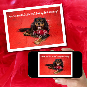 Cartão Black and Tan Cavalier King Charles Boa Aniversári