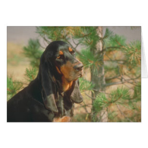 Cartão Black and Tan Coonhound