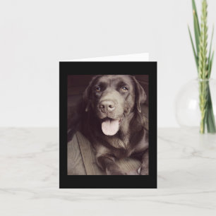 Cartão Black And White Labrador Retriever Dog Note Card