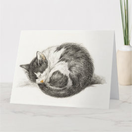 Cartão Black and white pencil drawing of a sleeping cat