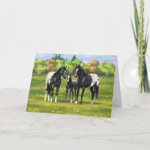 Cartão Black Appaloosa Horses In Summer Pasture