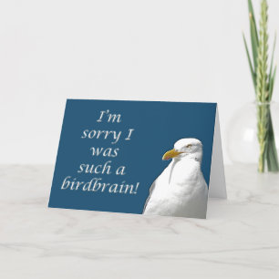 Cartão Black-Backed Gull I'm Sorry Card