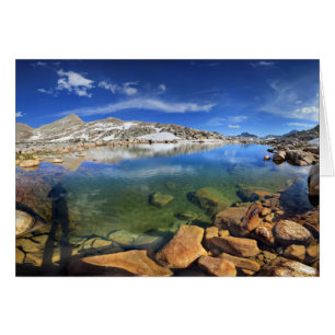 Cartão Black Bear Tarn - Sierra