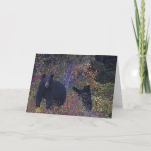 Cartão BLACK BEARS Wildlife Greeting Card