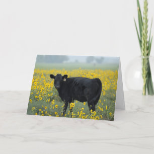 Cartão Black Calf in a Field of Sunflowers