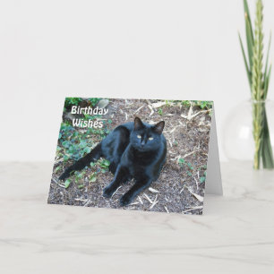 Cartão Black Cat Birthday Card 1