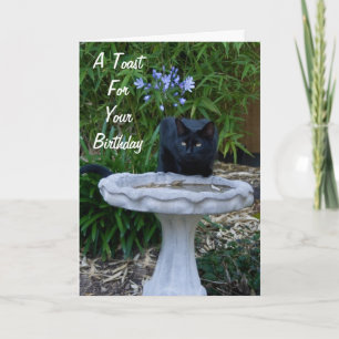 Cartão Black Cat Birthday Card 2