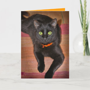 Cartão Black Cat Halloween Card