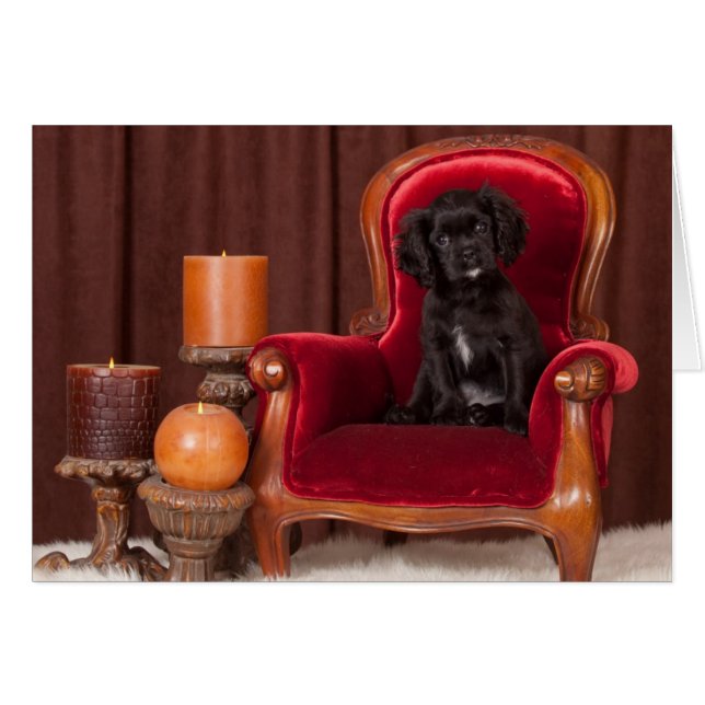 Cartão Black Cavalier King Charles Spaniel (Frente Horizontal)