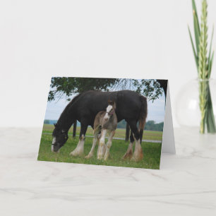 Cartão Black Clydesdale e Filly