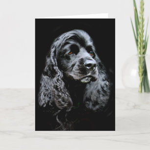 Cartão Black Cocker Spaniel