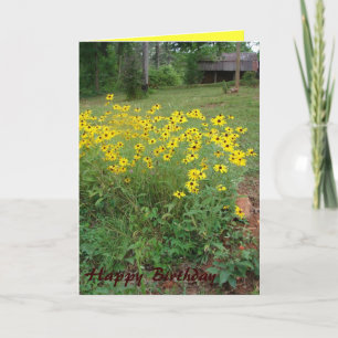 Cartão Black-Eyed Susan Card