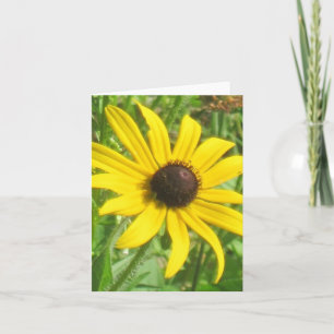 Cartão Black-eyed Susan Note Card