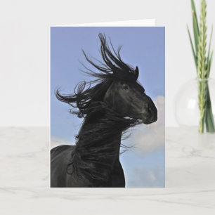 Cartão Black Friesian Horse Portrait