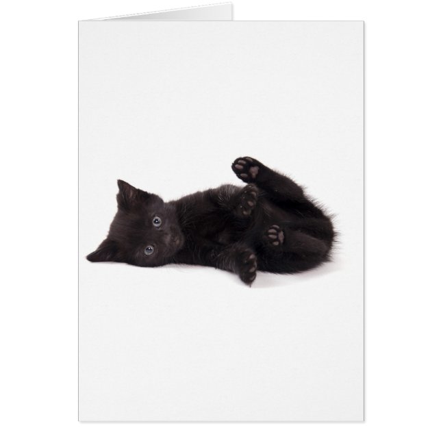 Cartão black kitten (Frente)