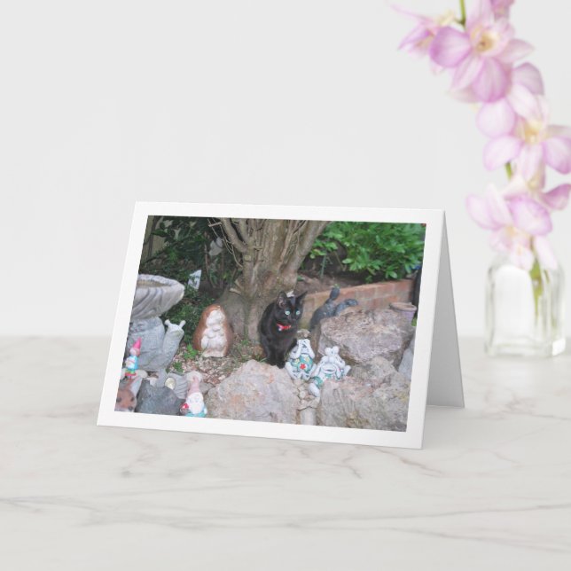 Cartão Black Kitten em Rockery (Orquídea)