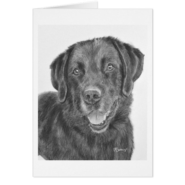Cartão Black Lab Bandit (Frente)