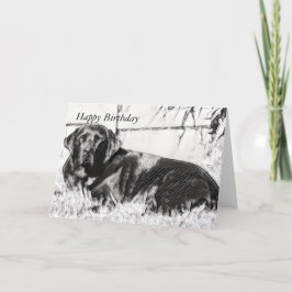 Cartão Black Lab Lay in the Sun Birthday