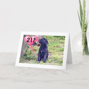 Cartão BLACK LAB PUPPY SAYS "ENJOY 21st BIRTHDAY!"