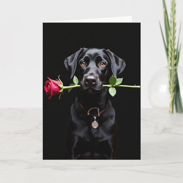 Cartão Black Lab Rose Valentine Card (Frente)