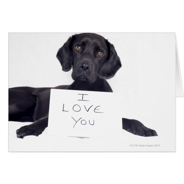 Cartão Black Labrador 13 Meses (Frente Horizontal)