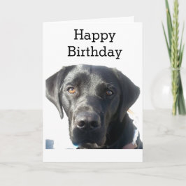Cartão Black Labrador Retriever Happy Birday