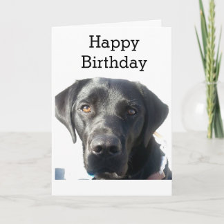 Cartão Black Labrador Retriever Happy Birday