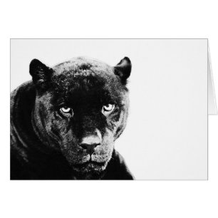 Cartão Black Panther Jaguar