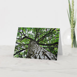 Cartão Black Walnut Trunk and Branches