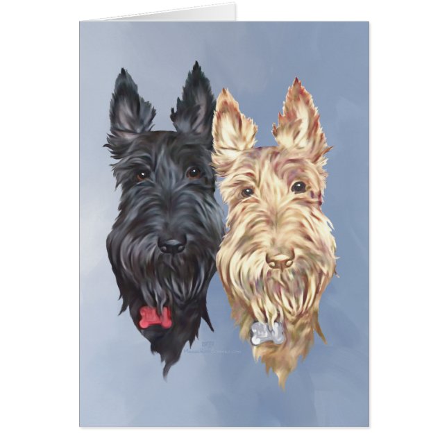 Cartão Black & Wheaten Scottish Terriers (Frente)