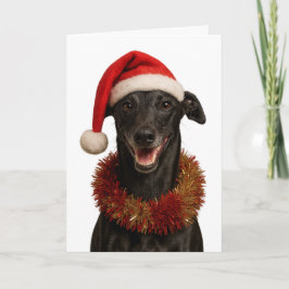 Cartão Black whippet in a Santa hat Christmas card
