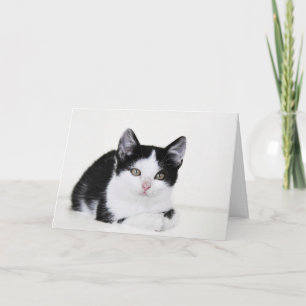 Cartão Black White Thoughtful Kitten Greeting Card