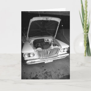 Cartão "Black & White Valiant with Snowflakes" Melhoras