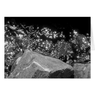 Cartão Blackwood Canyon, Lago Tahoe