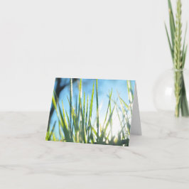 Cartão Blades Sunlit