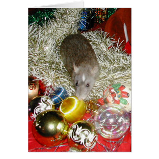 Cartão Blaize e os Baubles