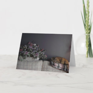 Cartão Blank Greeting Card