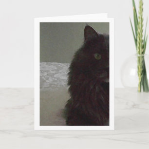 Cartão Blank Greeting Card