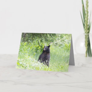 Cartão Blank greeting card featuring Black bear