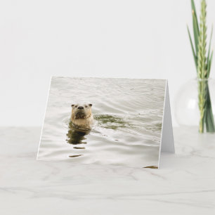 Cartão Blank Greeting Card with Otter photo
