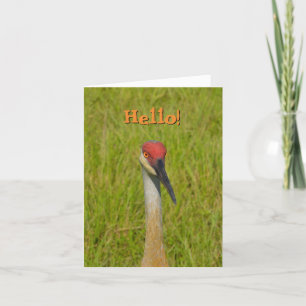 Cartão Blank Inside, Sand Hill Crane Hello! Greeting Card