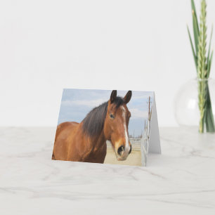 Cartão Blank Note Card--Brown Horse Side
