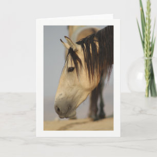 Cartão Blank Note Card with a wild horse pictured.