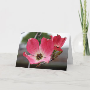 Cartão Blank Pink Dogwood